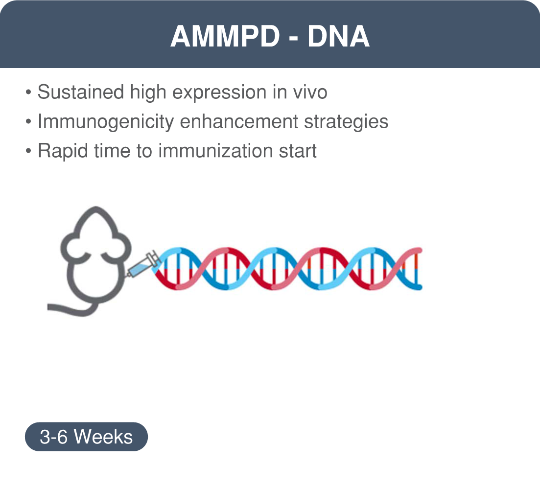 ammpdDNA