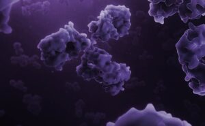 Generating Diverse Antibodies Against Multi-Spanning Membrane Protein Targets