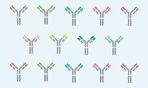 alivamab-news-image-02