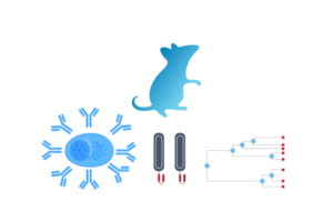 Ablexis and AlivaMab Discovery Services Announce Expansion of Antibody Drug Discovery and Engineering Capabilities